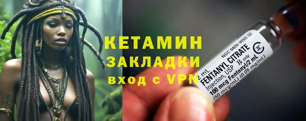 шишки Верея
