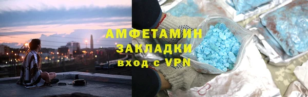 шишки Верея
