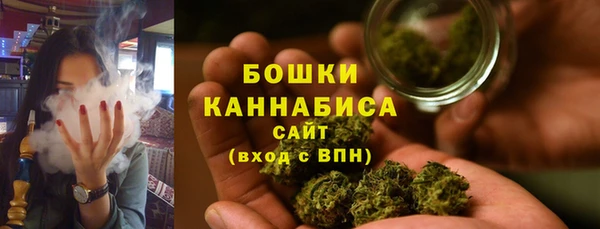шишки Верея