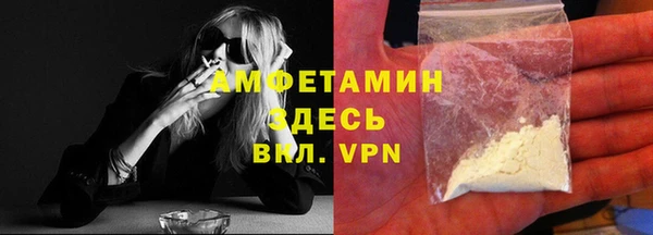 шишки Верея