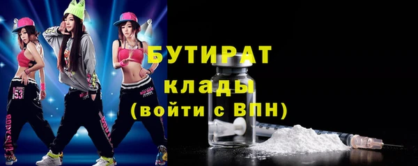 шишки Верея
