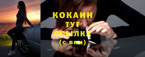 шишки Верея