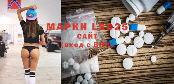 шишки Верея