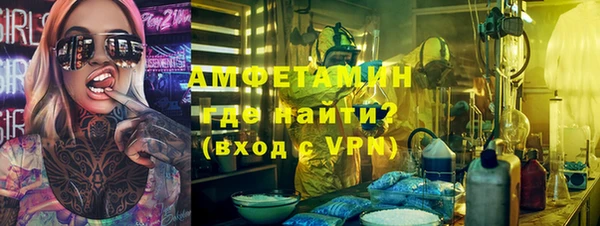 шишки Верея