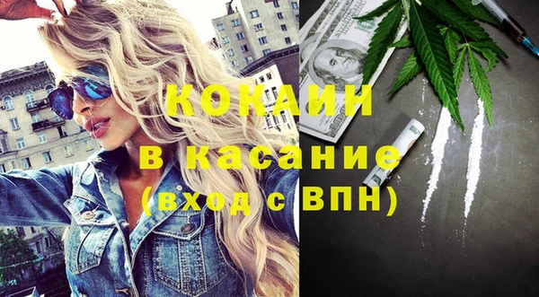 шишки Верея