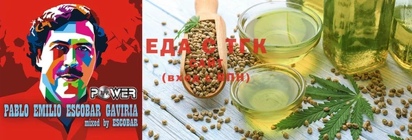 шишки Верея